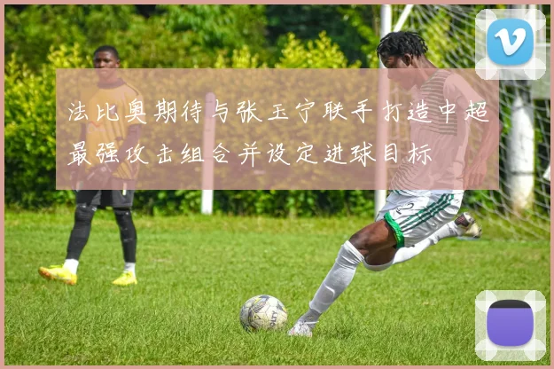 法比奥期待与张玉宁联手打造中超最强攻击组合并设定进球目标